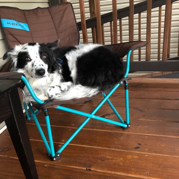 Meet your Posher, Magen - Picture 4 of 8